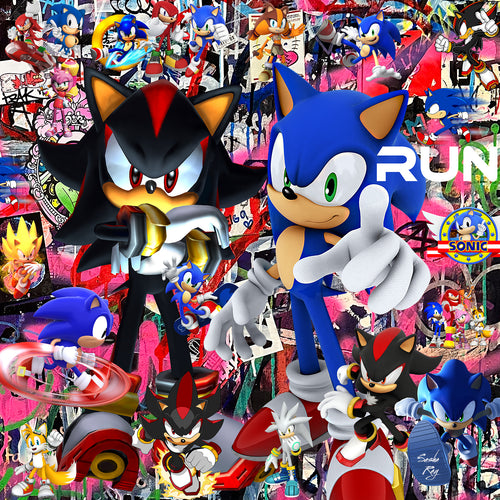Sonic & Shadow Canvas