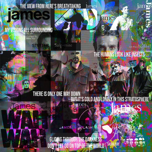 James Top Of The World Canvas